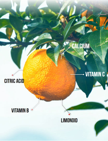 [My Days] Spoonful Honey Citron Tea